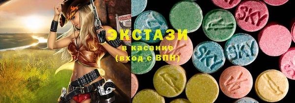 ECSTASY Краснослободск