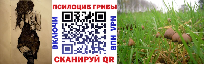 Псилоцибиновые грибы мухоморы  хочу наркоту  Неман 